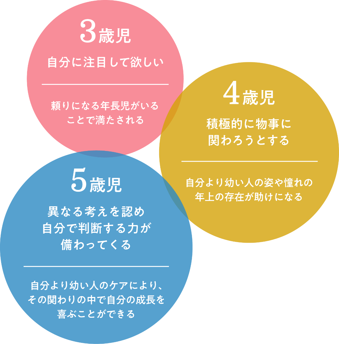 3歳児 自分に注目して欲しい - 頼りになる年長児がいることで満たされる | 4歳児 積極的に物事に関わろうとする - 自分より幼い人の姿や憧れの年上の存在が助けになる | 5歳児 異なる考えを認め自分で判断する力が備わってくる - 自分より幼い人のケアにより、その関わりの中で自分の成長を喜ぶことができる